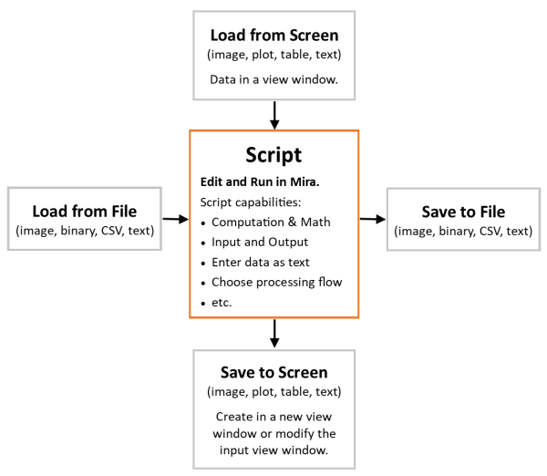 Script Processing